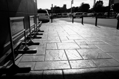 日差しのロード