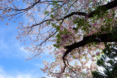 もうすぐ終わりだ