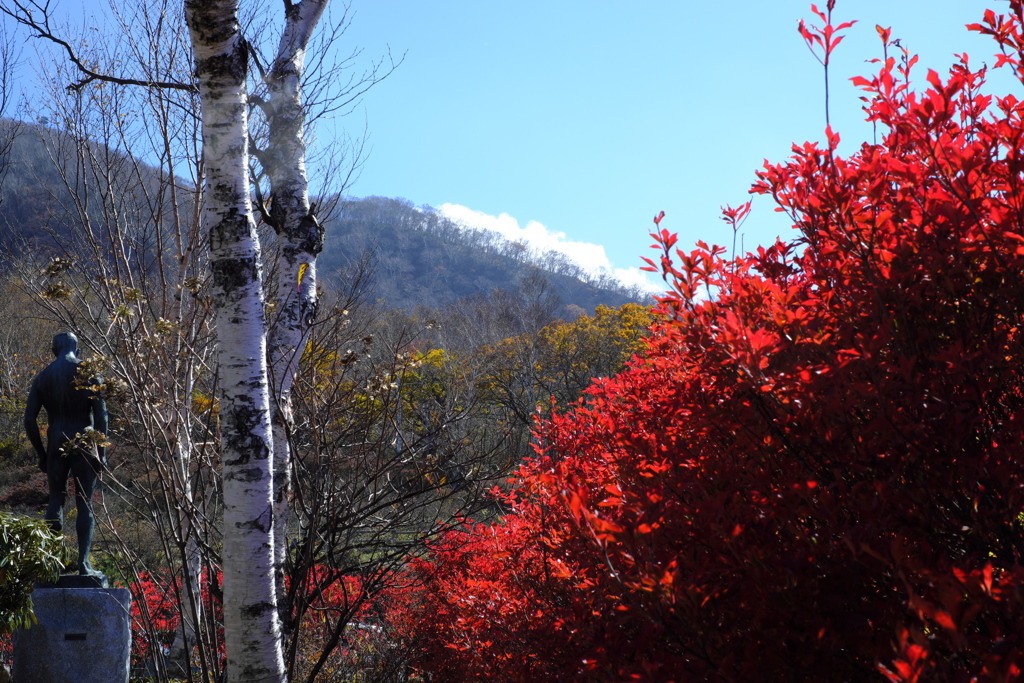 紅葉真っ盛り