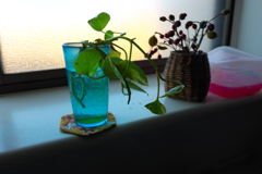 キッチンの窓辺