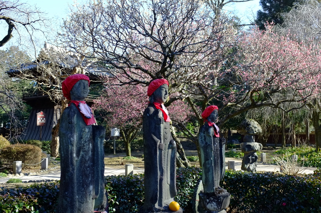 春の訪れ２