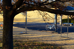 自転車のある風景