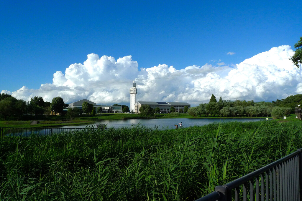 晴れて良かった。