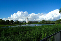 晴れて良かった。