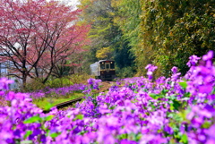 渓谷渡良瀬鉄道１
