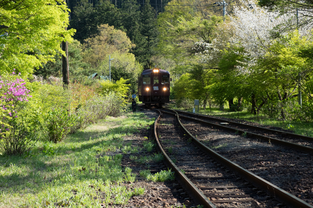 渡良瀬渓谷鉄道沢入