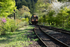 渡良瀬渓谷鉄道沢入