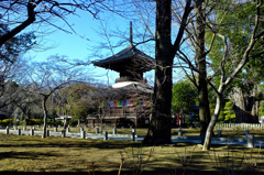 2月の鑁阿寺