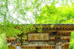 山寺