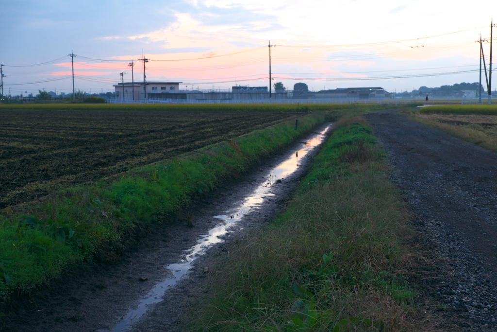 雨上がりの道