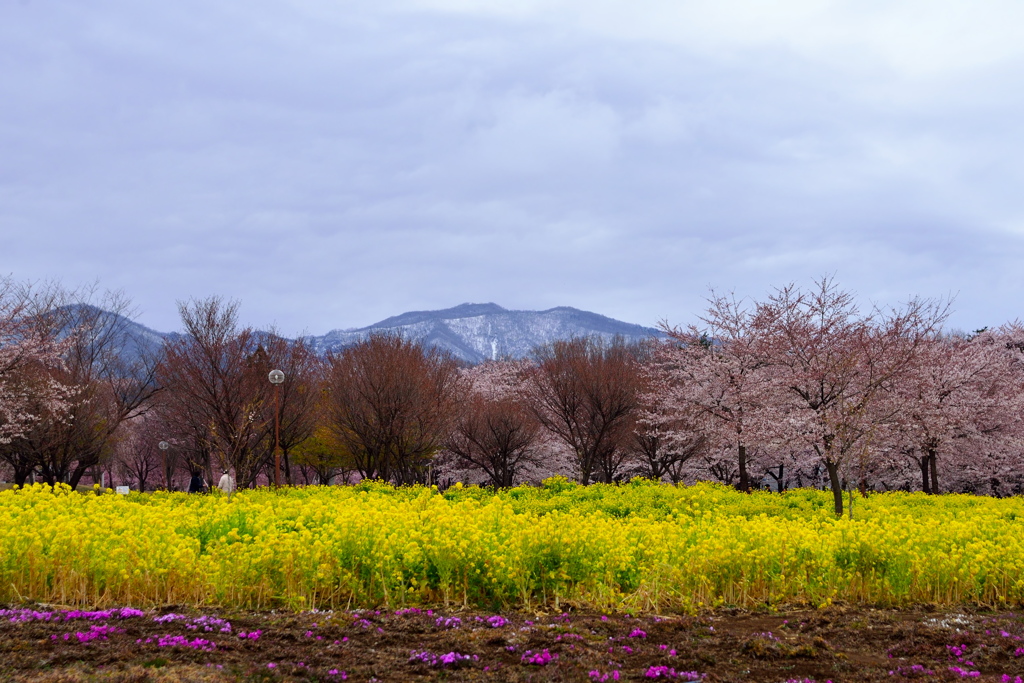 春の風景