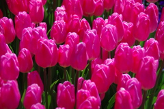 今を主張します。