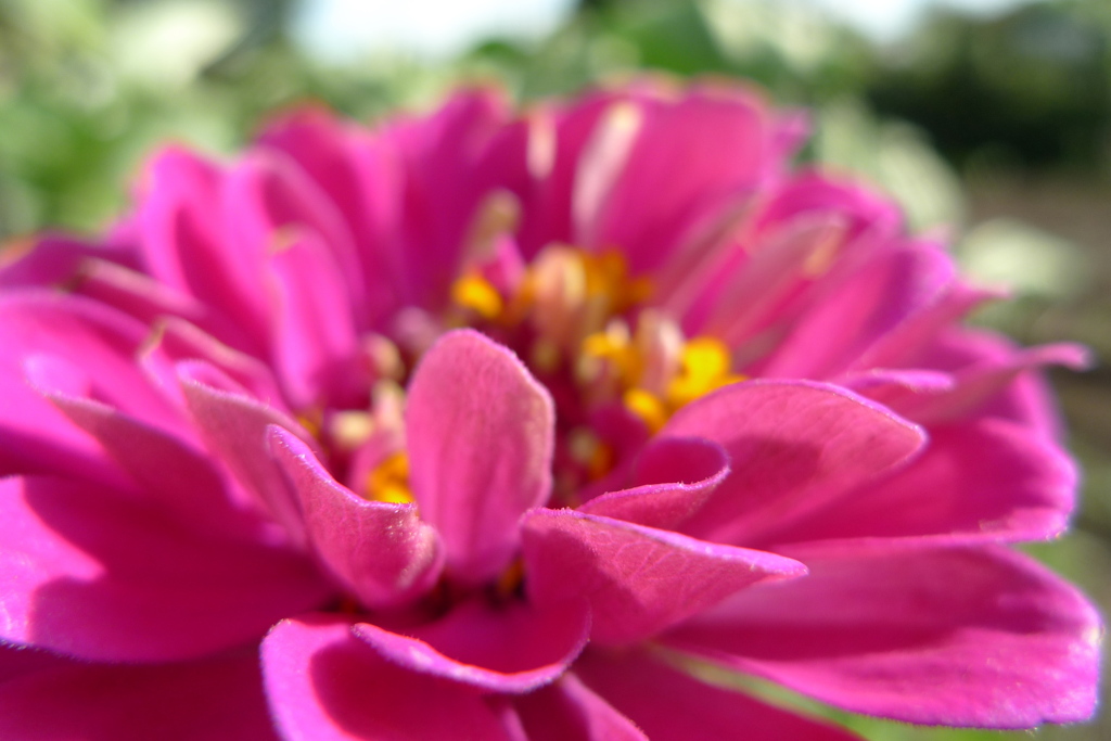 台風後のほほえみ