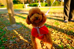 びっくりしたー。