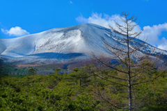浅間山パシャリ