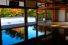 床もみじ紅葉２