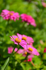 もうすぐ秋風が。