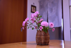 菊生け花１