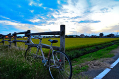 ロード自転車１