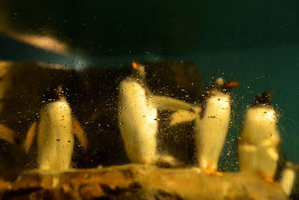 uwa曇って見えない