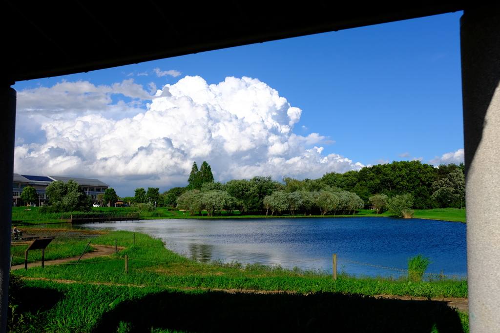 晴天の窓