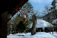 春よ来い