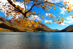 静かな湖畔風景