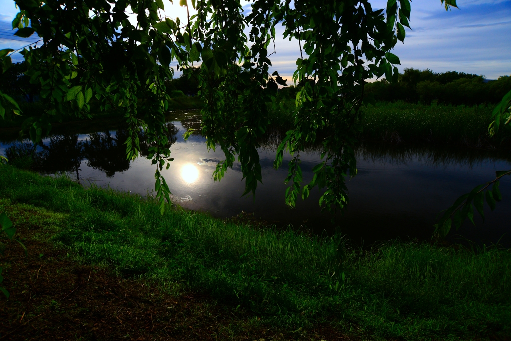 風景3