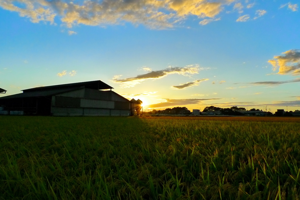 台風後の秋風景