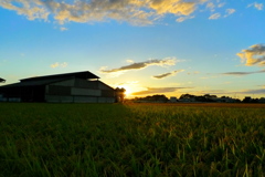台風後の秋風景