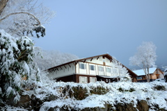 雪シーズン到来