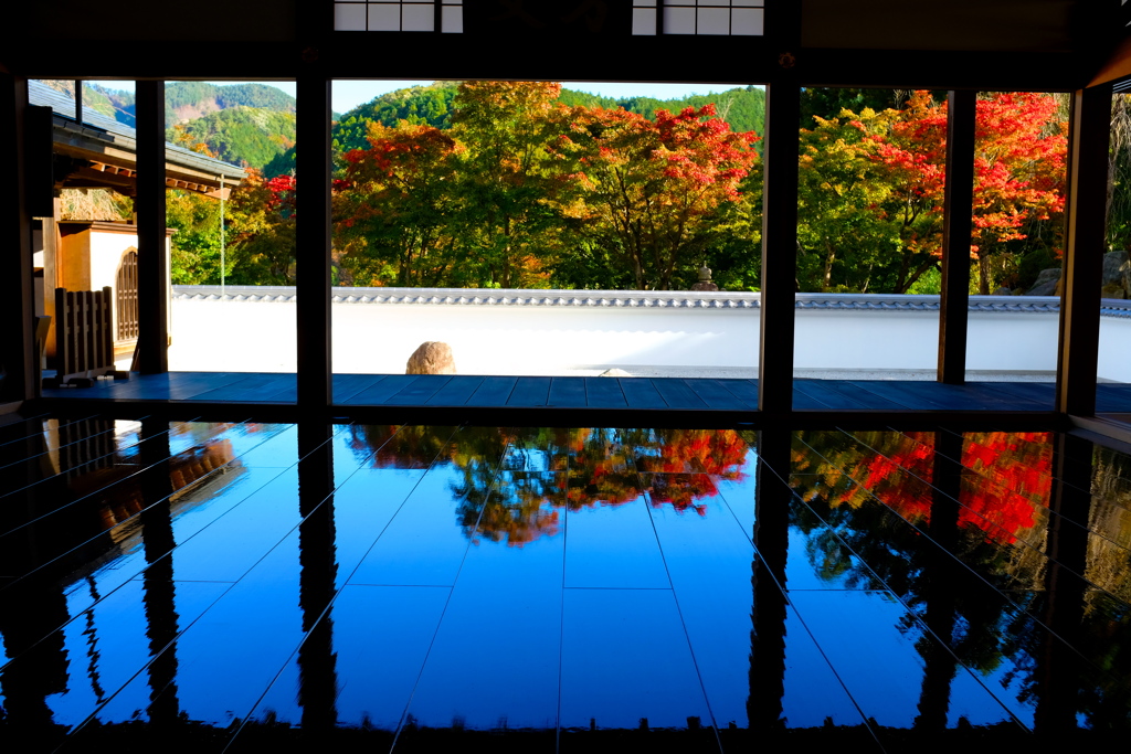 床もみじ紅葉１