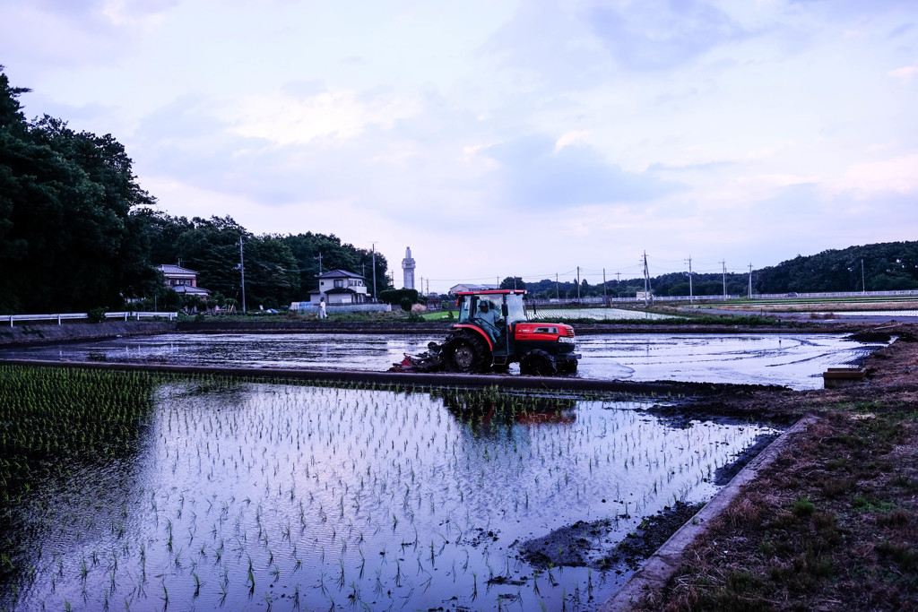久しぶりの風景