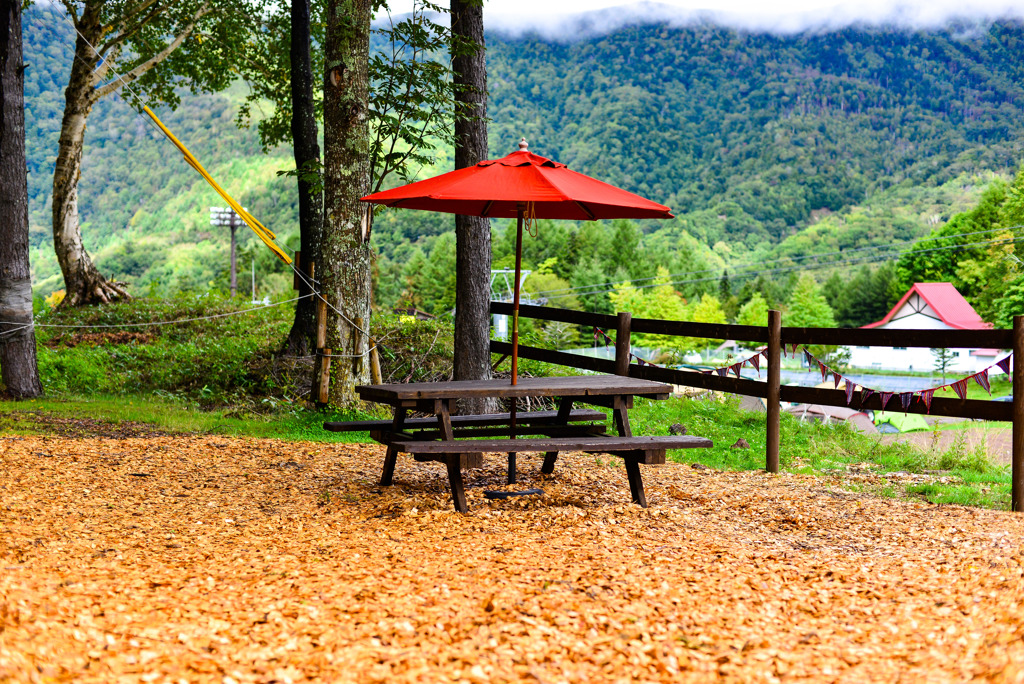 オアシスデッキ