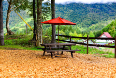 オアシスデッキ