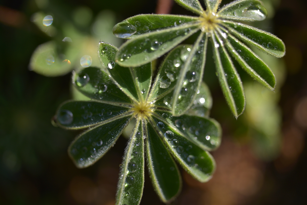 もうすぐの出番２