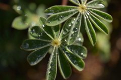 もうすぐの出番２