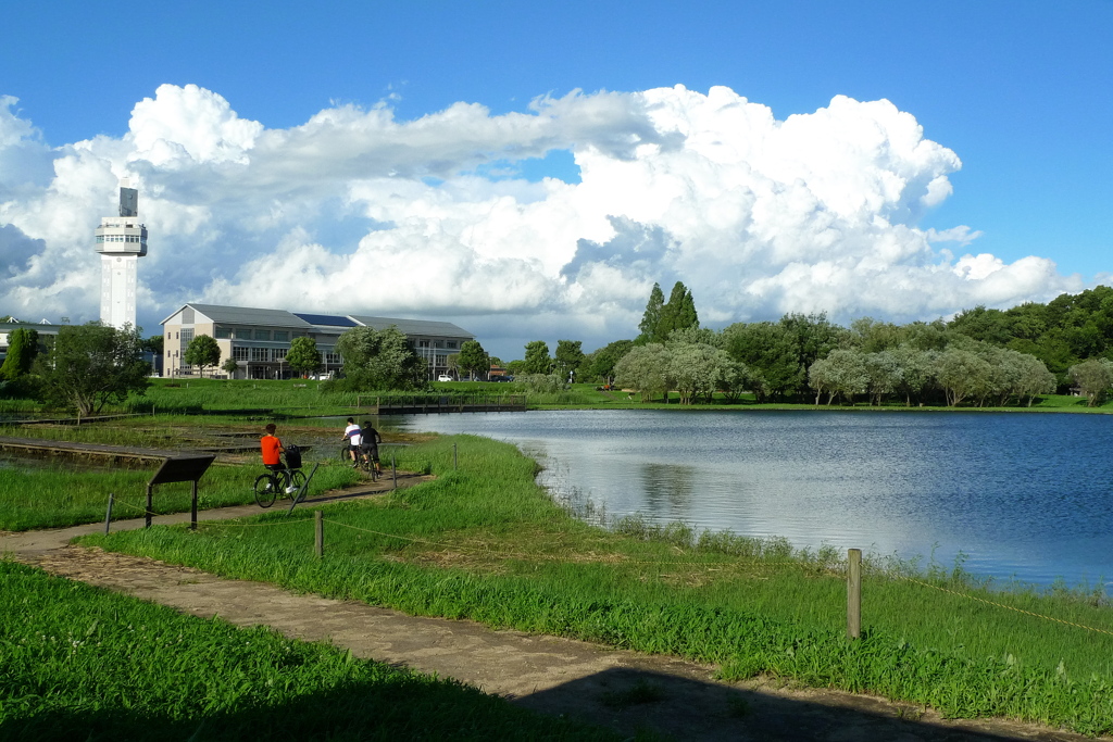 晴天の公園と白い雲