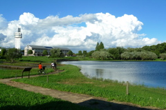 晴天の公園と白い雲