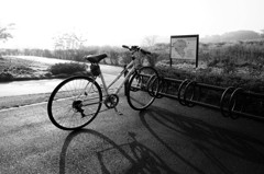 朝のサイクリング