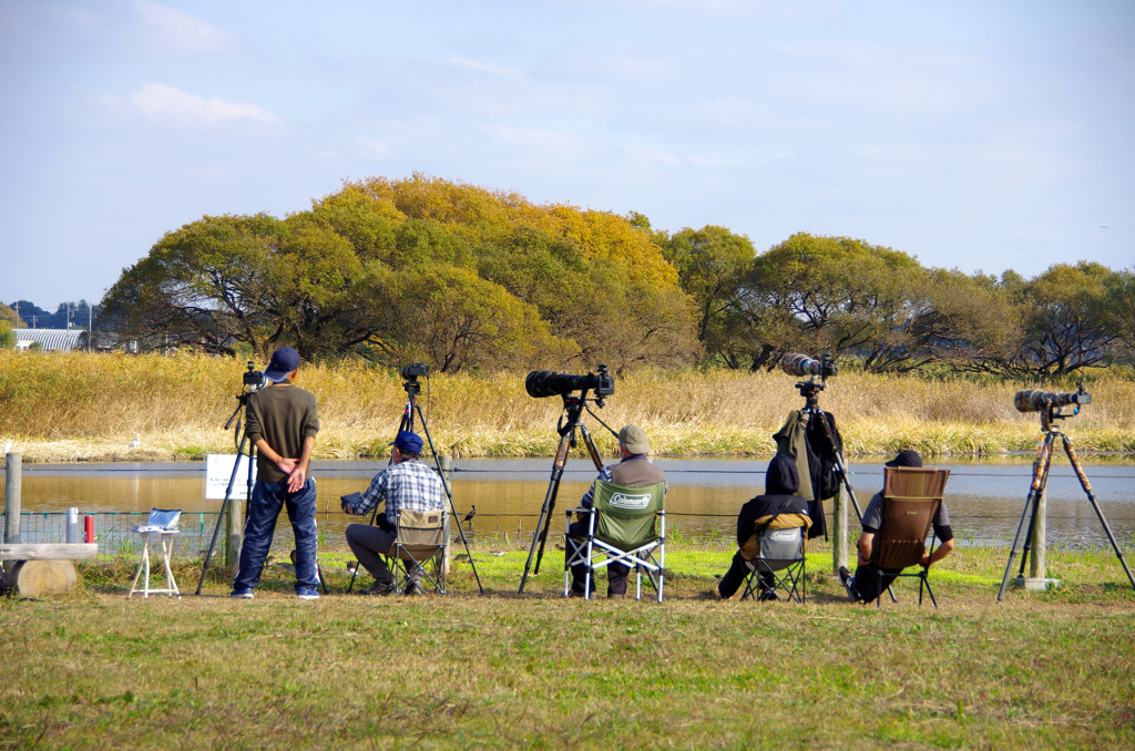 一瞬の切り撮りを待つ