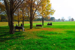 秋の空気を吸う風景