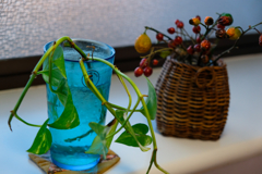 キッチンの窓辺２