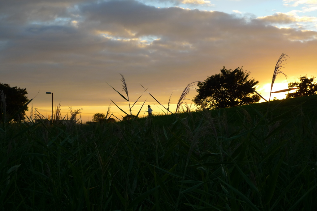 夕焼けのランナー