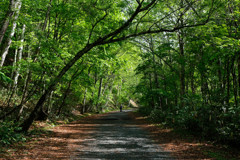 長い長い山の散策