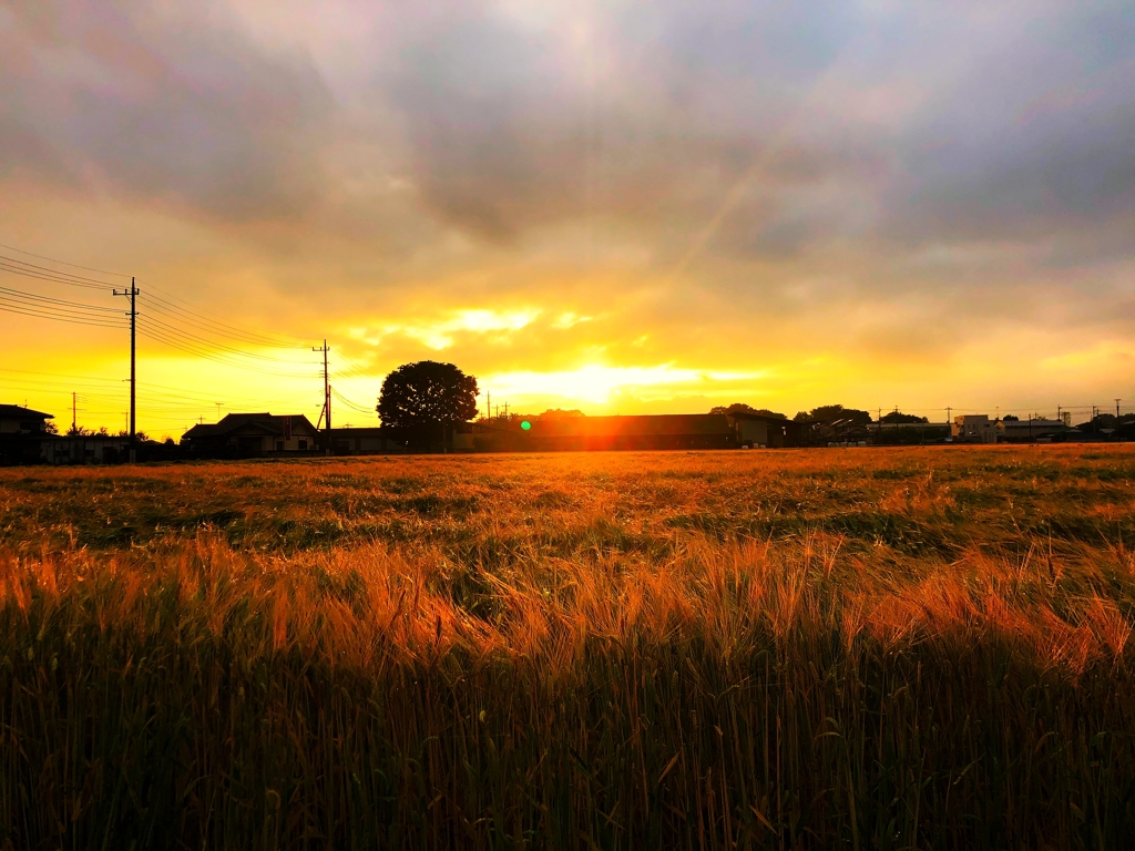 梅雨入り一瞬の光芒