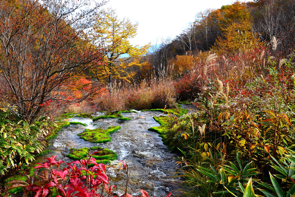 山奥の秋