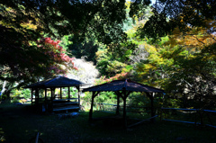 山寺の茶屋