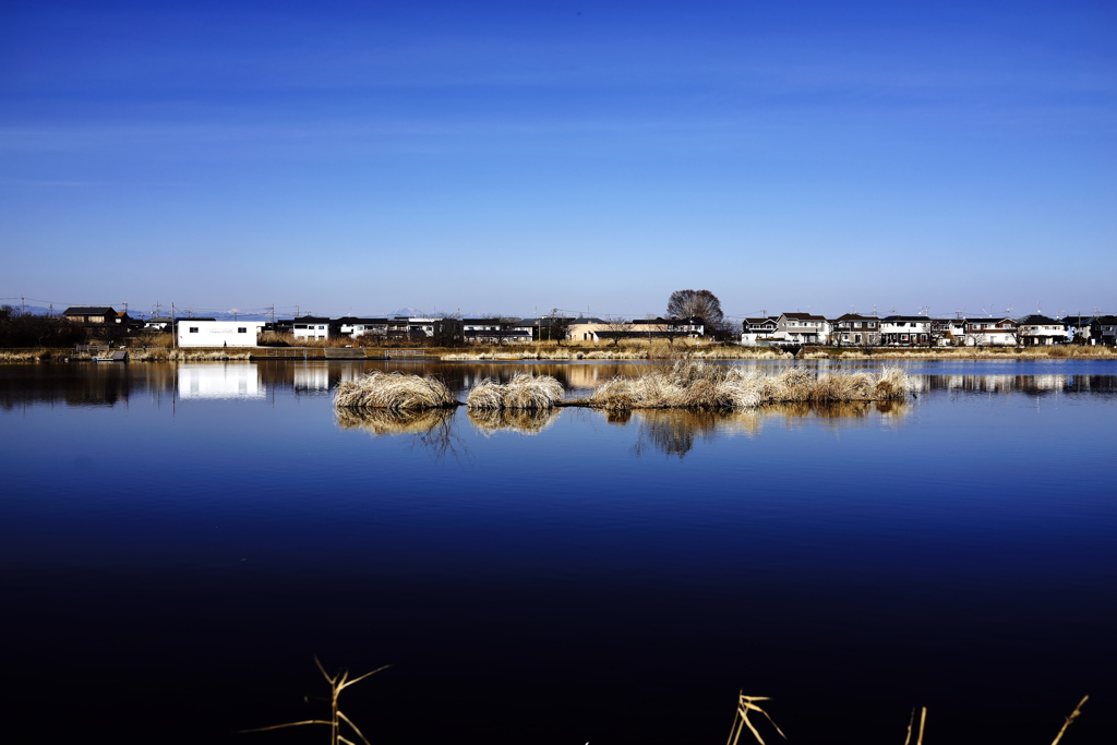 散歩からの公園風景