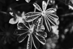 もうすぐの出番